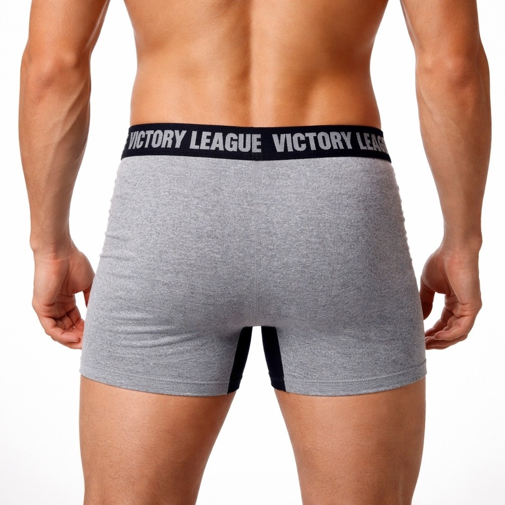 Victory League Mountain Dude Bigfoot Boxer Briefs Gray Performance Small (28-30) - Picture 2 of 8